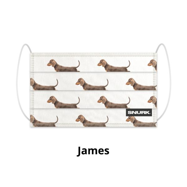 Mondmasker - james