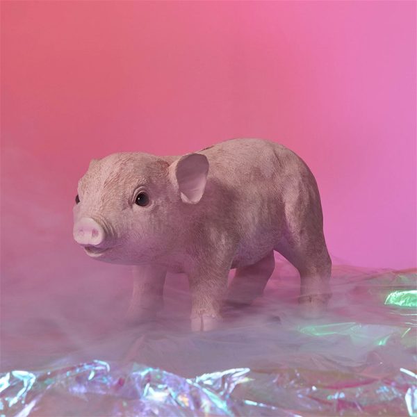 Pig pink - spaarpot - roze - Afbeelding 3