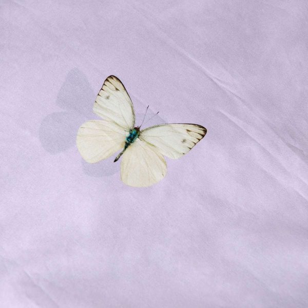 Butterfly - dekbedovertrek - Afbeelding 3