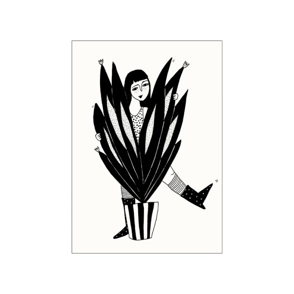 Big sanseveria - postkaart