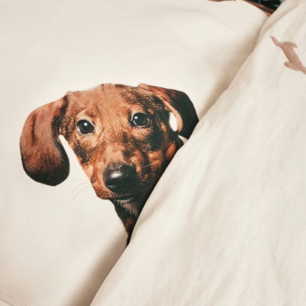 Dachshund friends - dekbedovertrek - Afbeelding 3