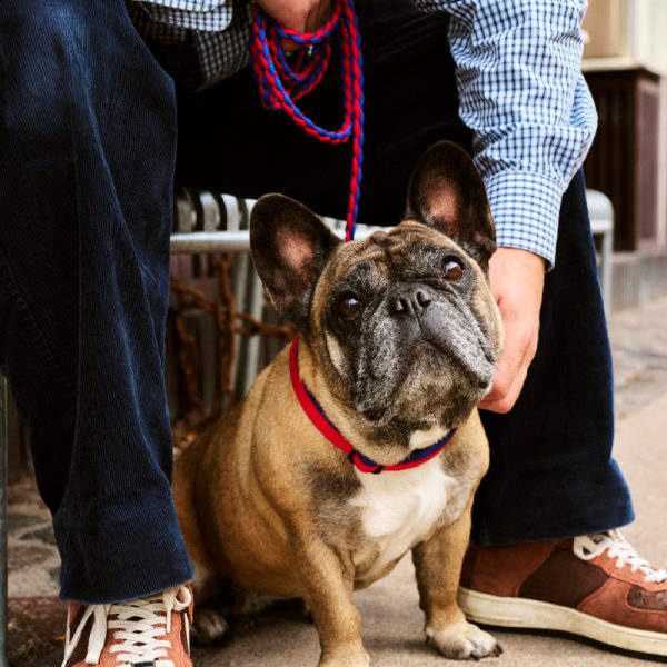 Dog leash braided - hondenriem - red/blue - Afbeelding 2