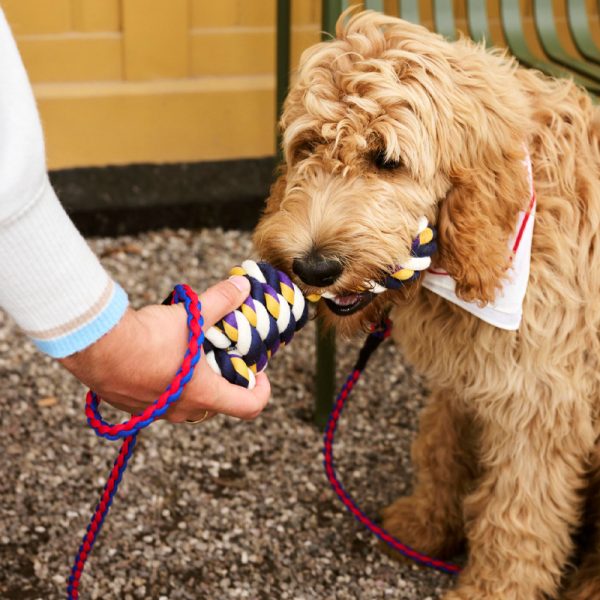 Dog leash braided - hondenriem - red/blue - Afbeelding 4