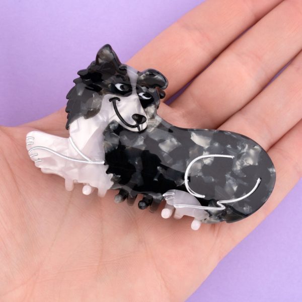 Border collie - haarspeld
